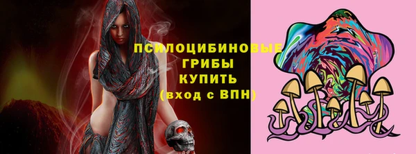 спайс Новодвинск