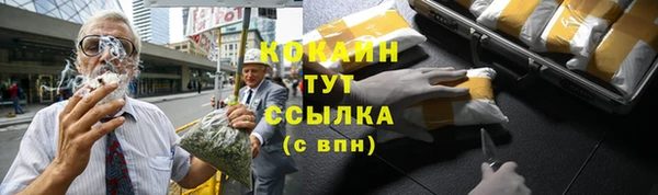 спайс Новодвинск