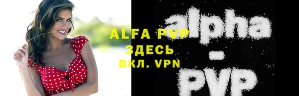 ГАЛЛЮЦИНОГЕННЫЕ ГРИБЫ Новозыбков