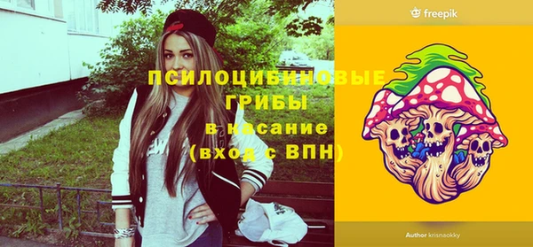 спайс Новодвинск