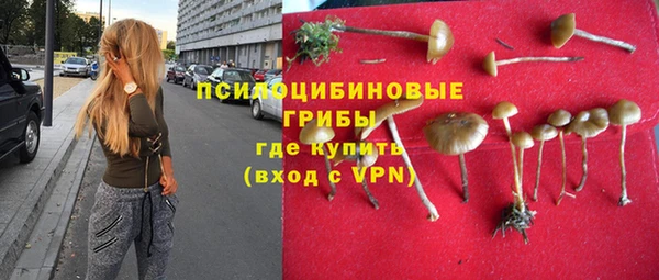 шишки Новокубанск