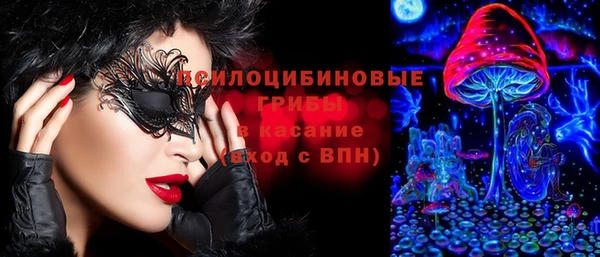 ГАЛЛЮЦИНОГЕННЫЕ ГРИБЫ Новозыбков
