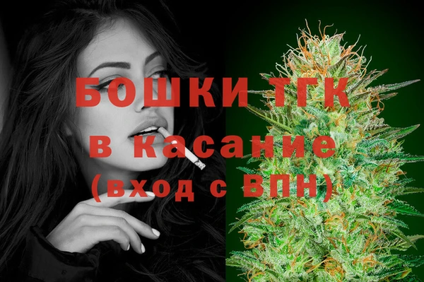 ГАЛЛЮЦИНОГЕННЫЕ ГРИБЫ Новозыбков