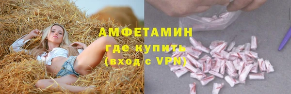 шишки Новокубанск