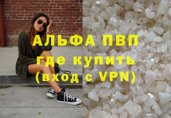 шишки Новокубанск