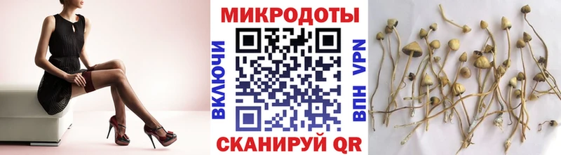 KRAKEN маркетплейс  Яранск  Галлюциногенные грибы Cubensis 